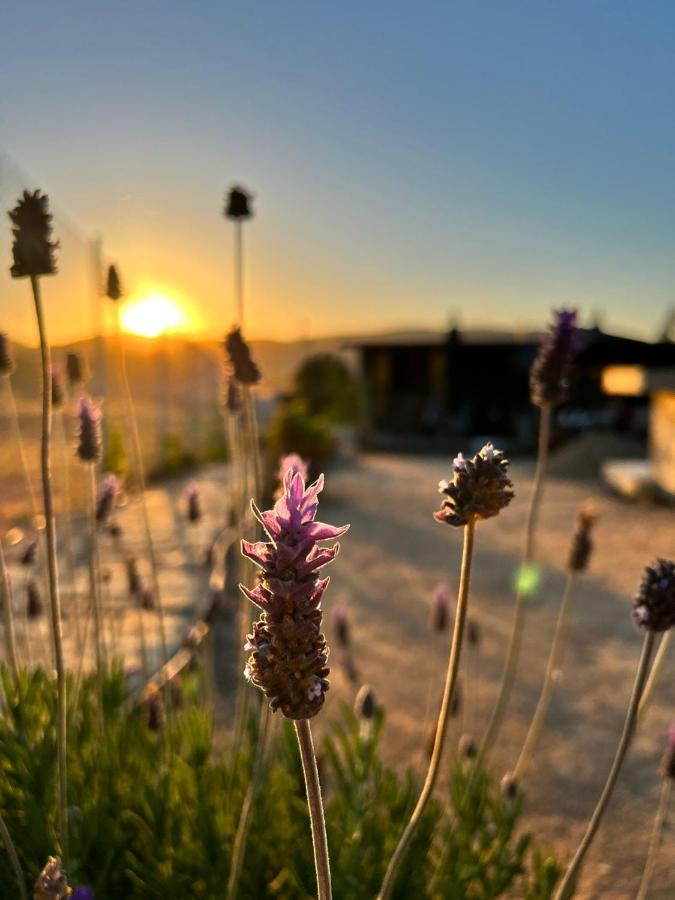 Finca Cazosa Valle de Guadalupe Esterno foto