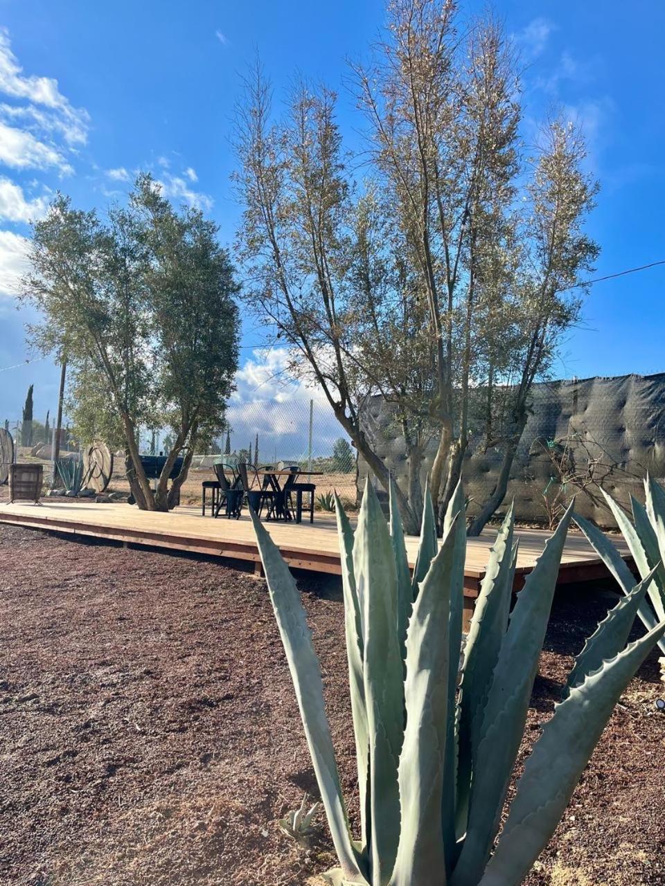 Finca Cazosa Valle de Guadalupe Esterno foto