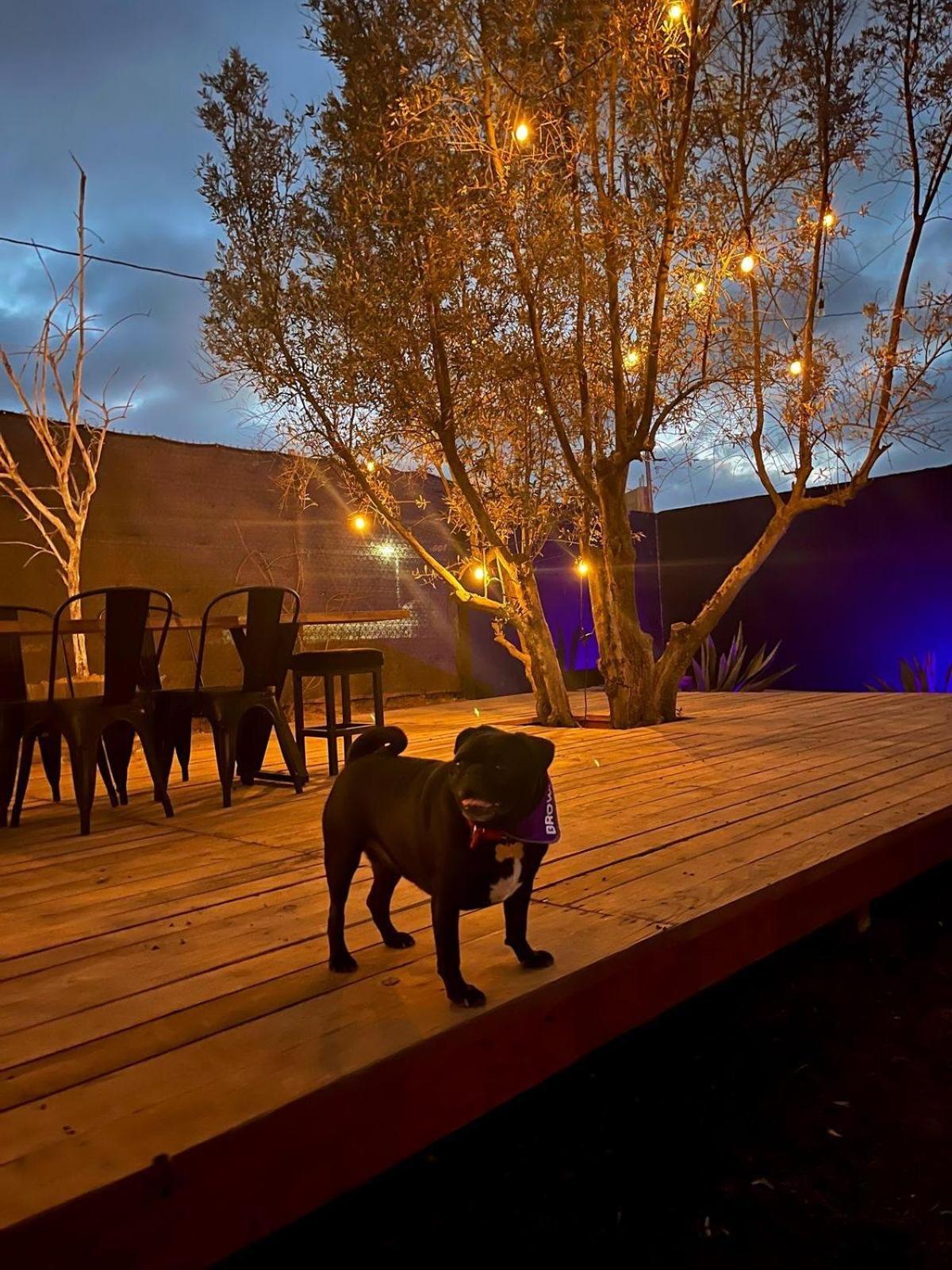 Finca Cazosa Valle de Guadalupe Esterno foto